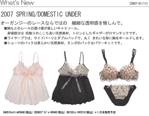 What's New 2007 Spring DOMESTIC UNDER/ｵｰｶﾞﾝｼﾞｰﾎﾞｰﾗｰ